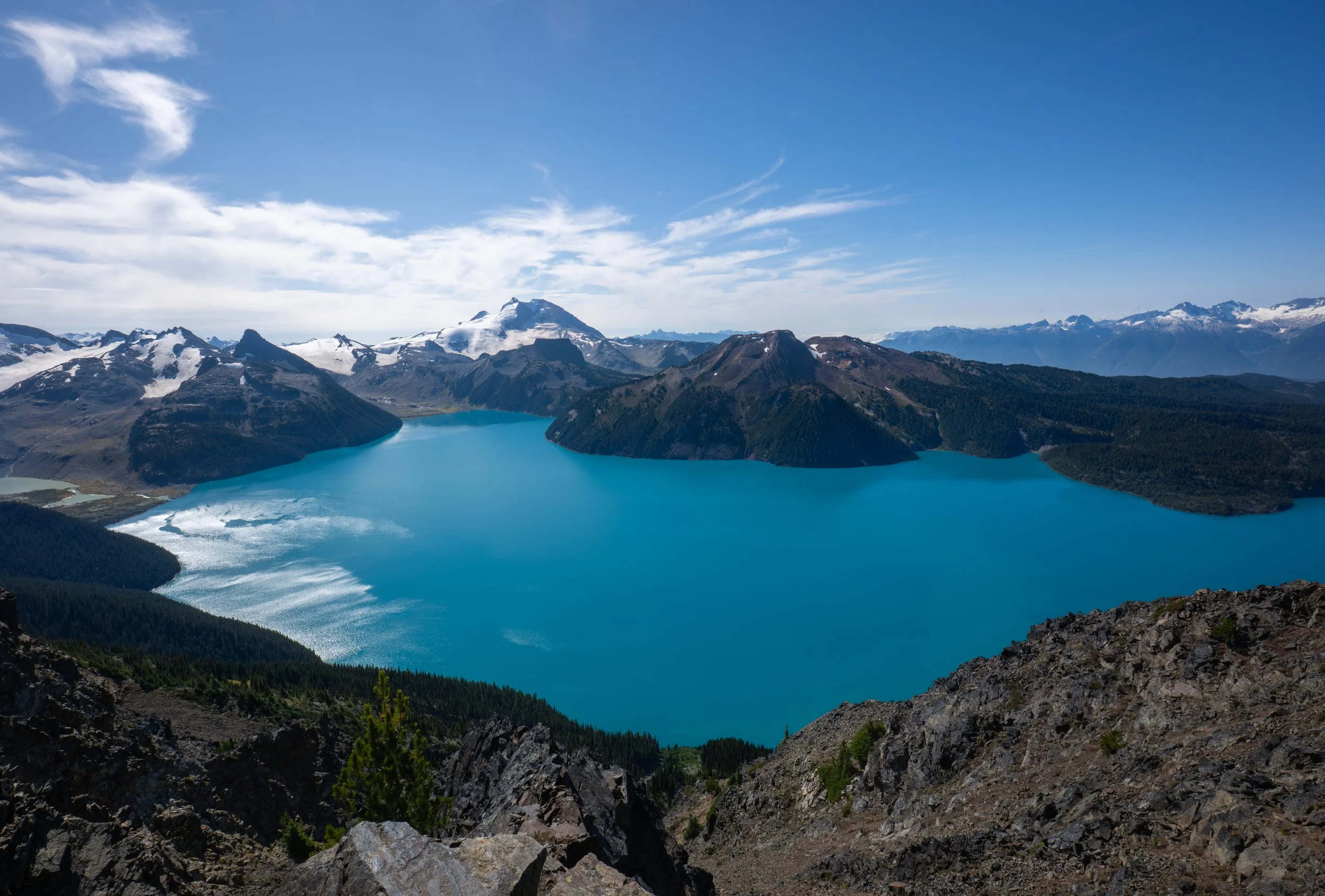 NZ8_0749-1.jpg