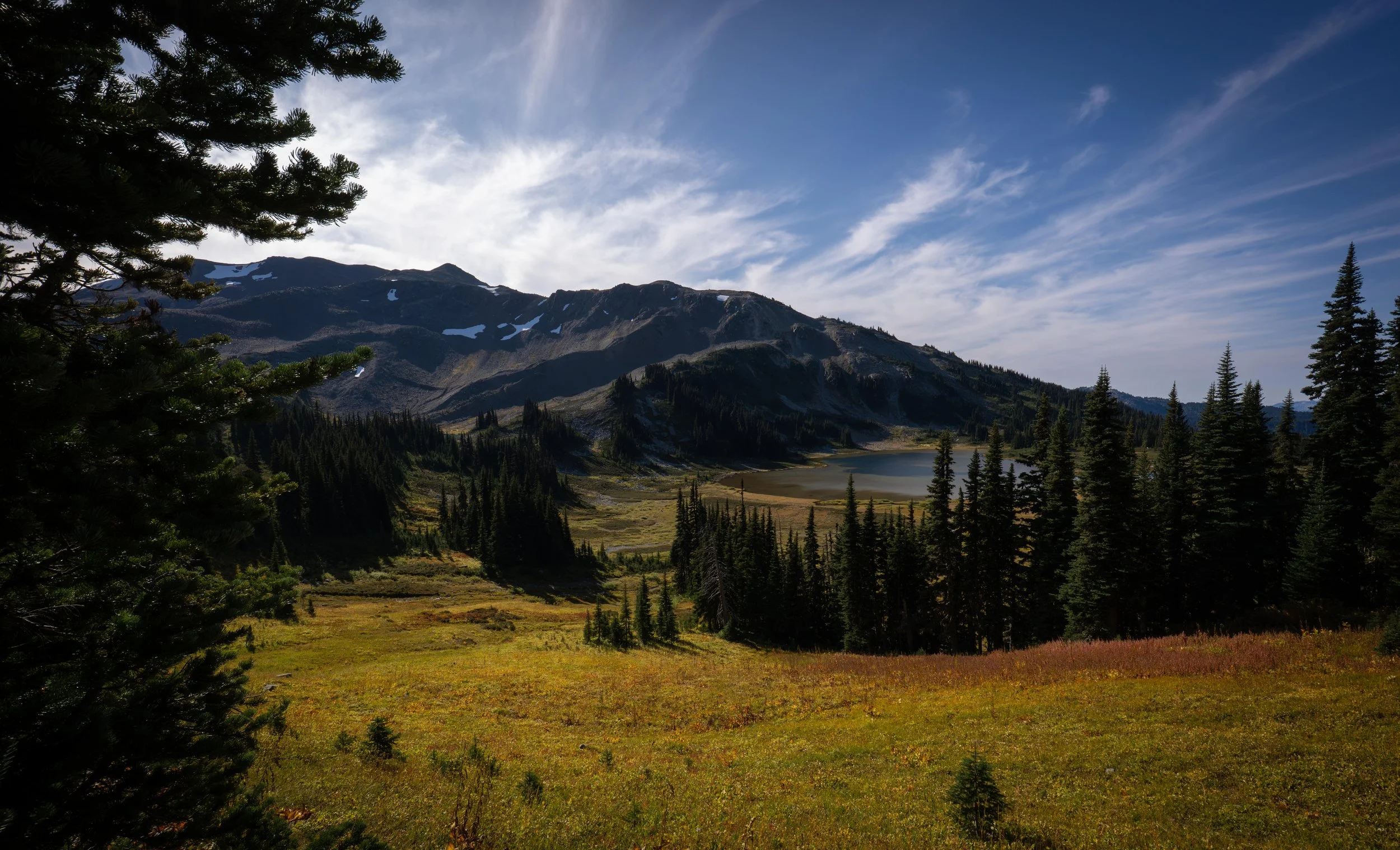 NZ8_0595-1-7365x4474.jpg