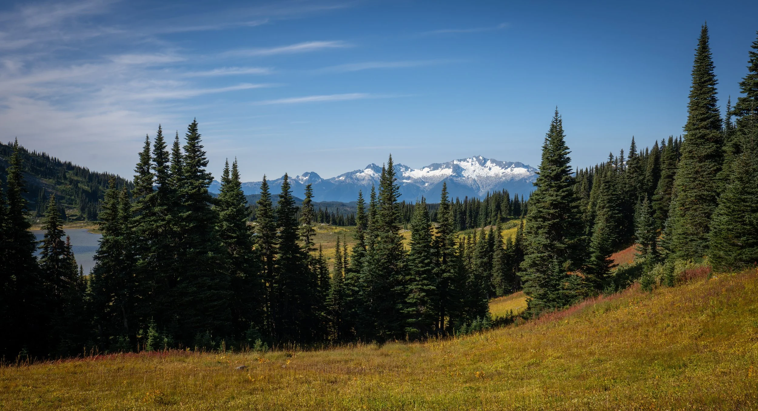 NZ8_0597-1.jpg