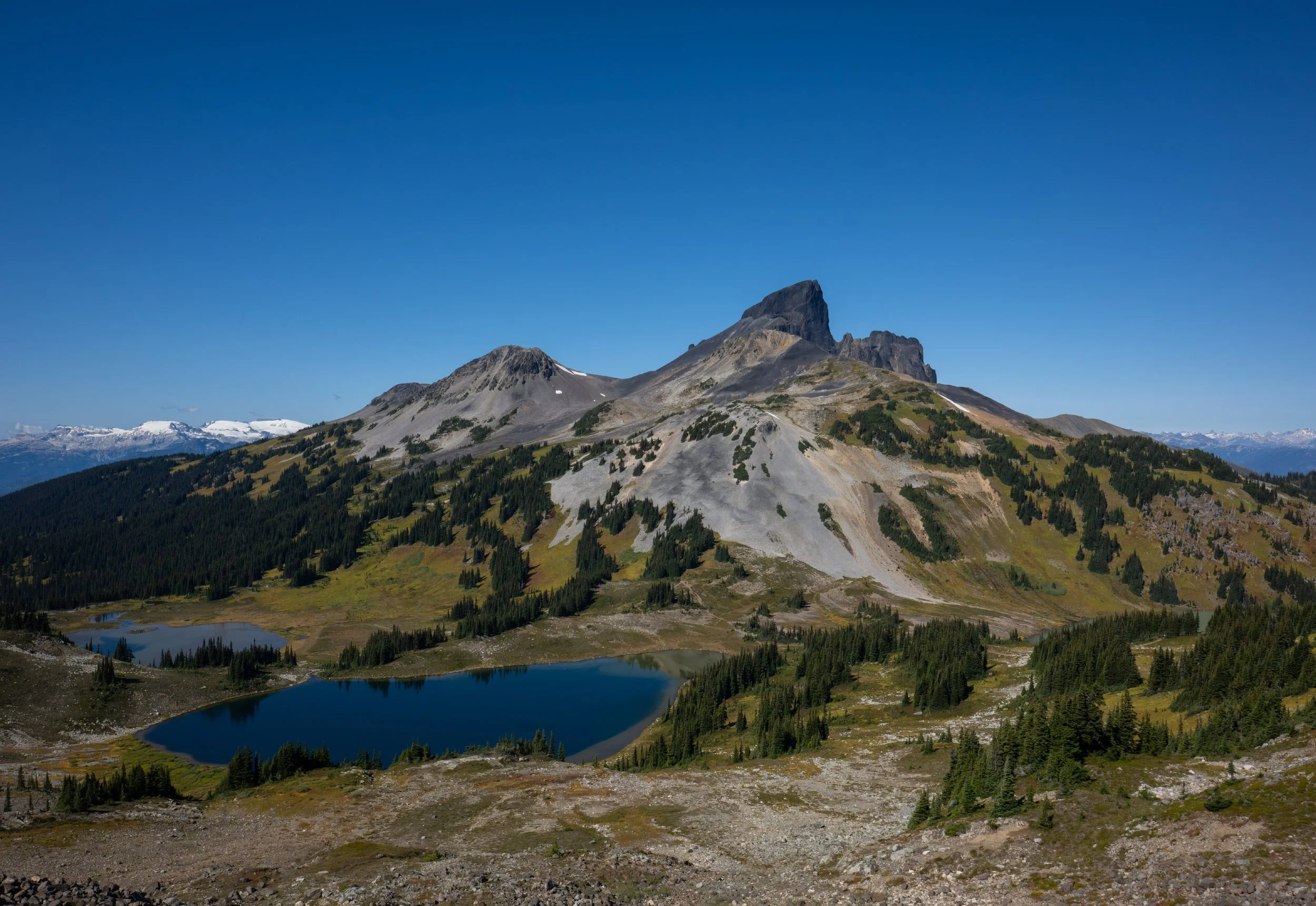 NZ8_0795-1.jpg