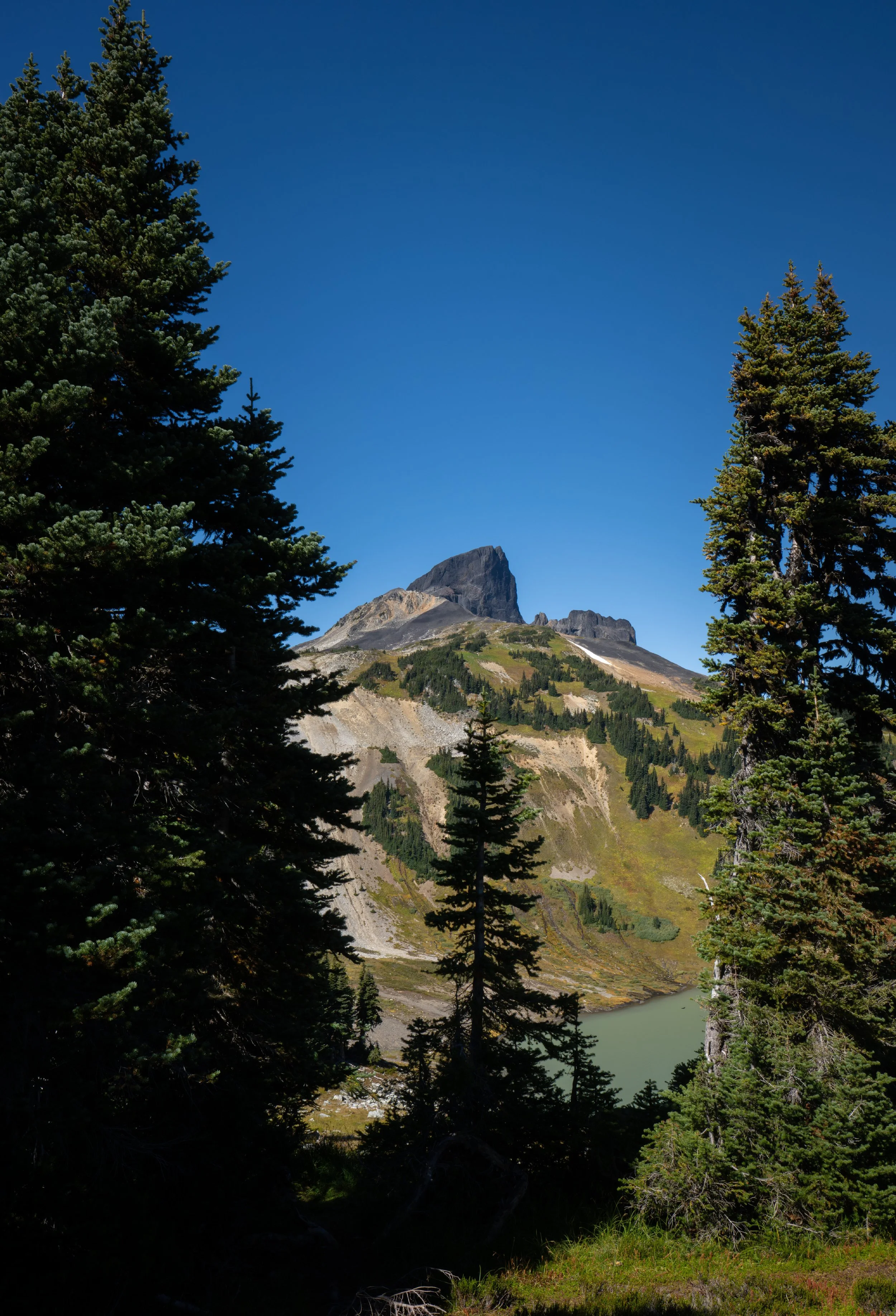 NZ8_0816-1.jpg