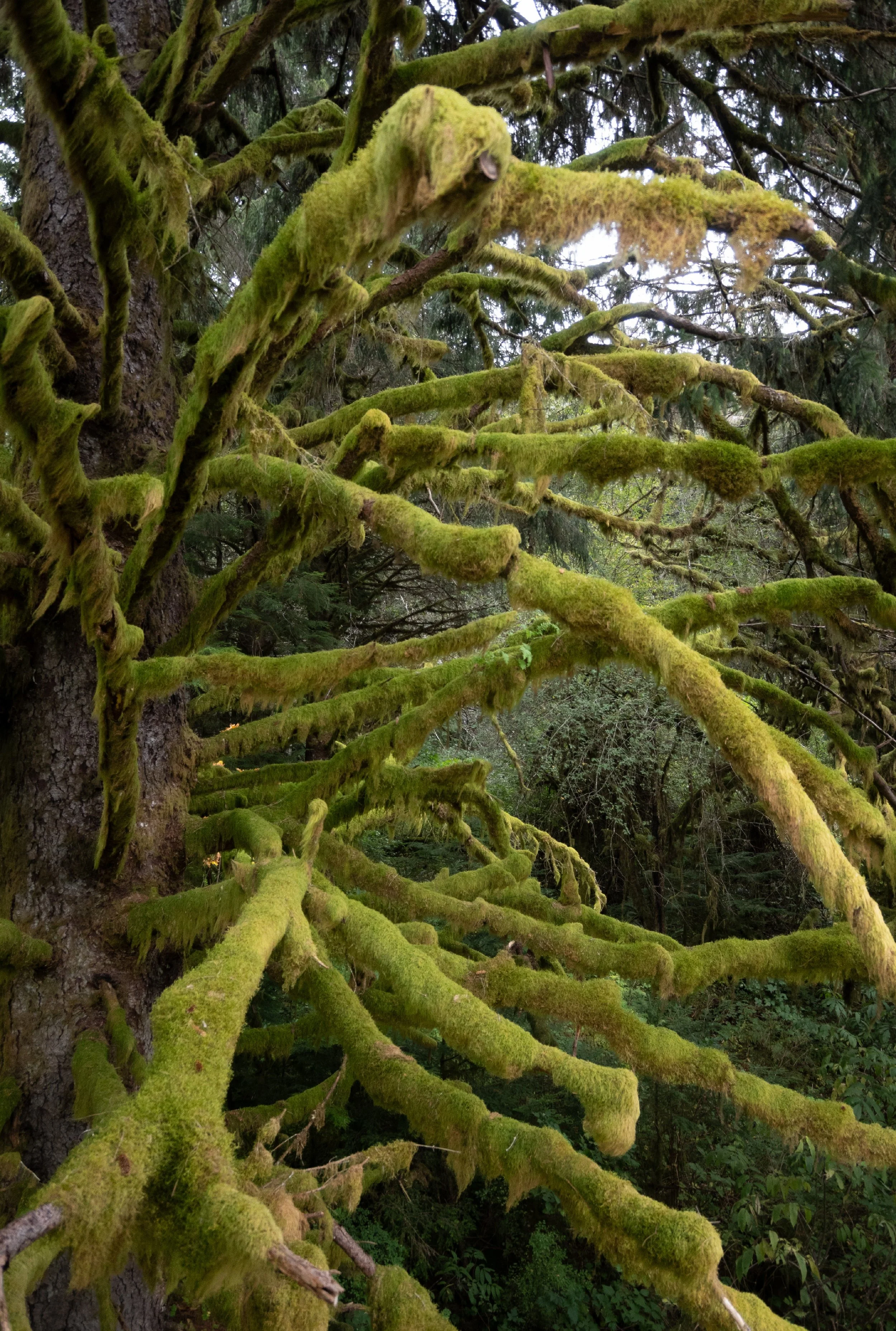 Z30_0278-1.jpg