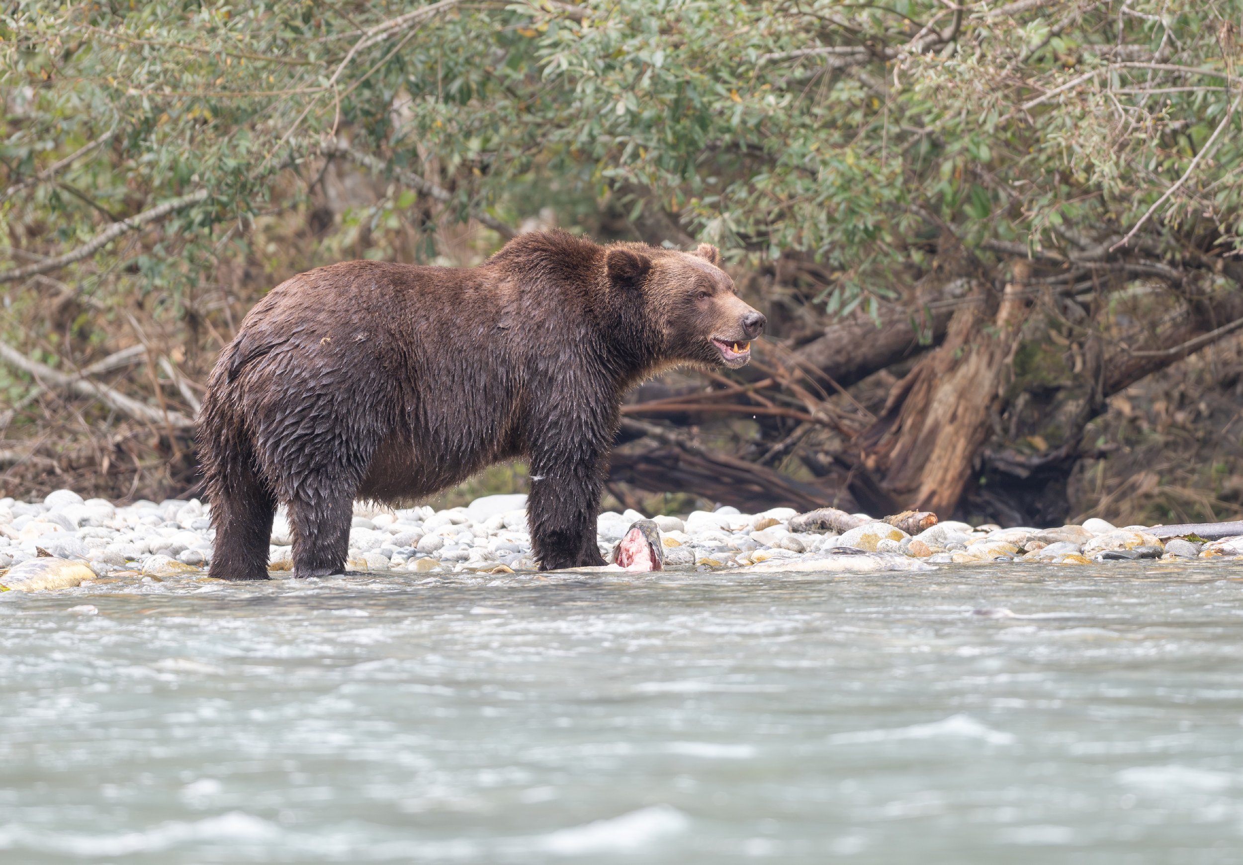 NZ8_2287-1.jpg