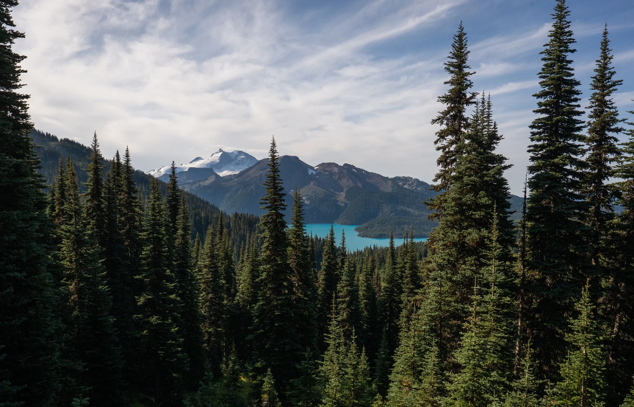 NZ8_0575-1.jpg