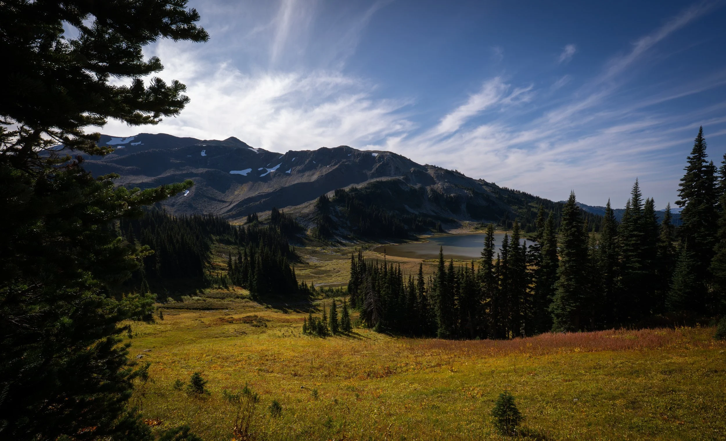 NZ8_0595-1.jpg