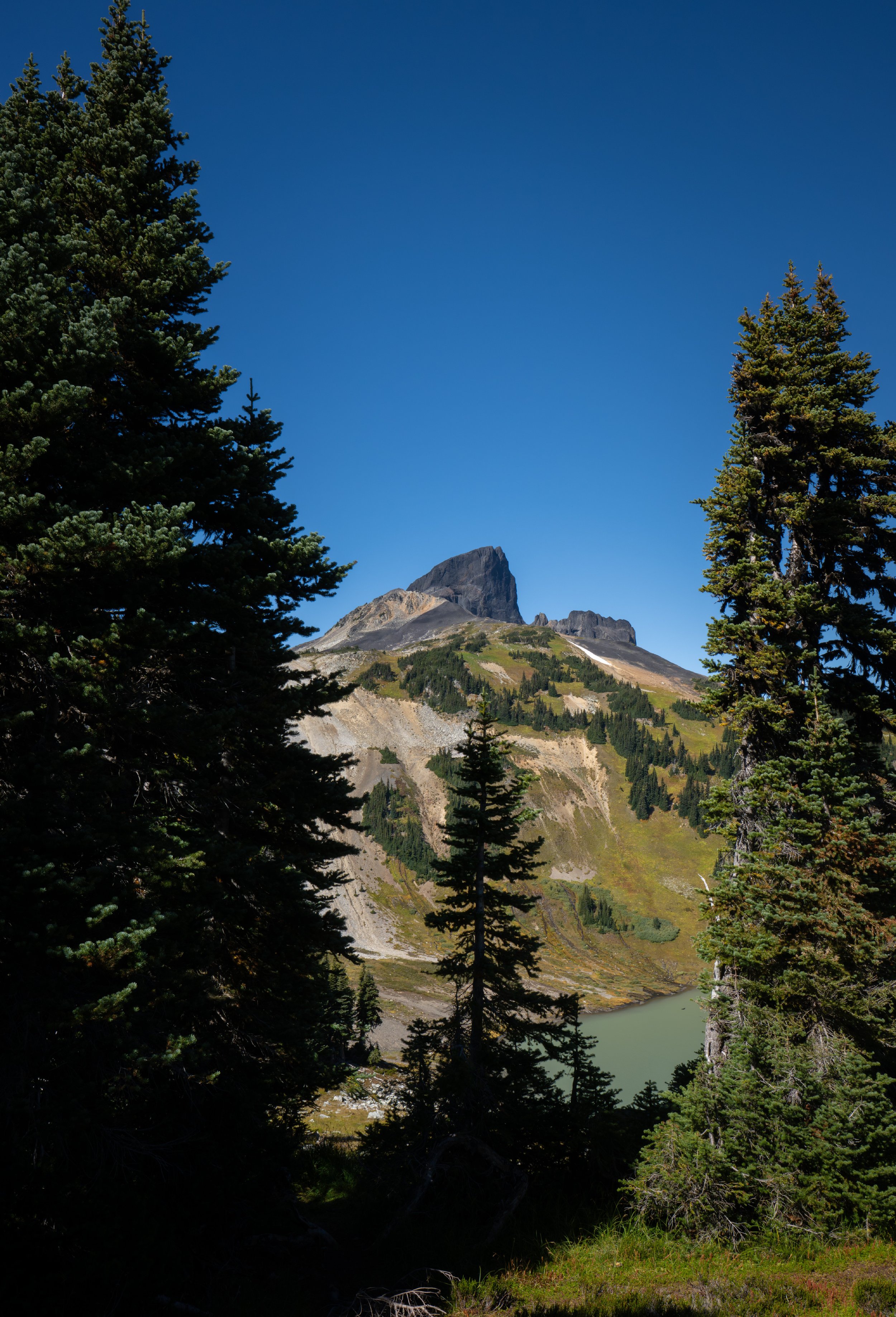 NZ8_0816-1.jpg