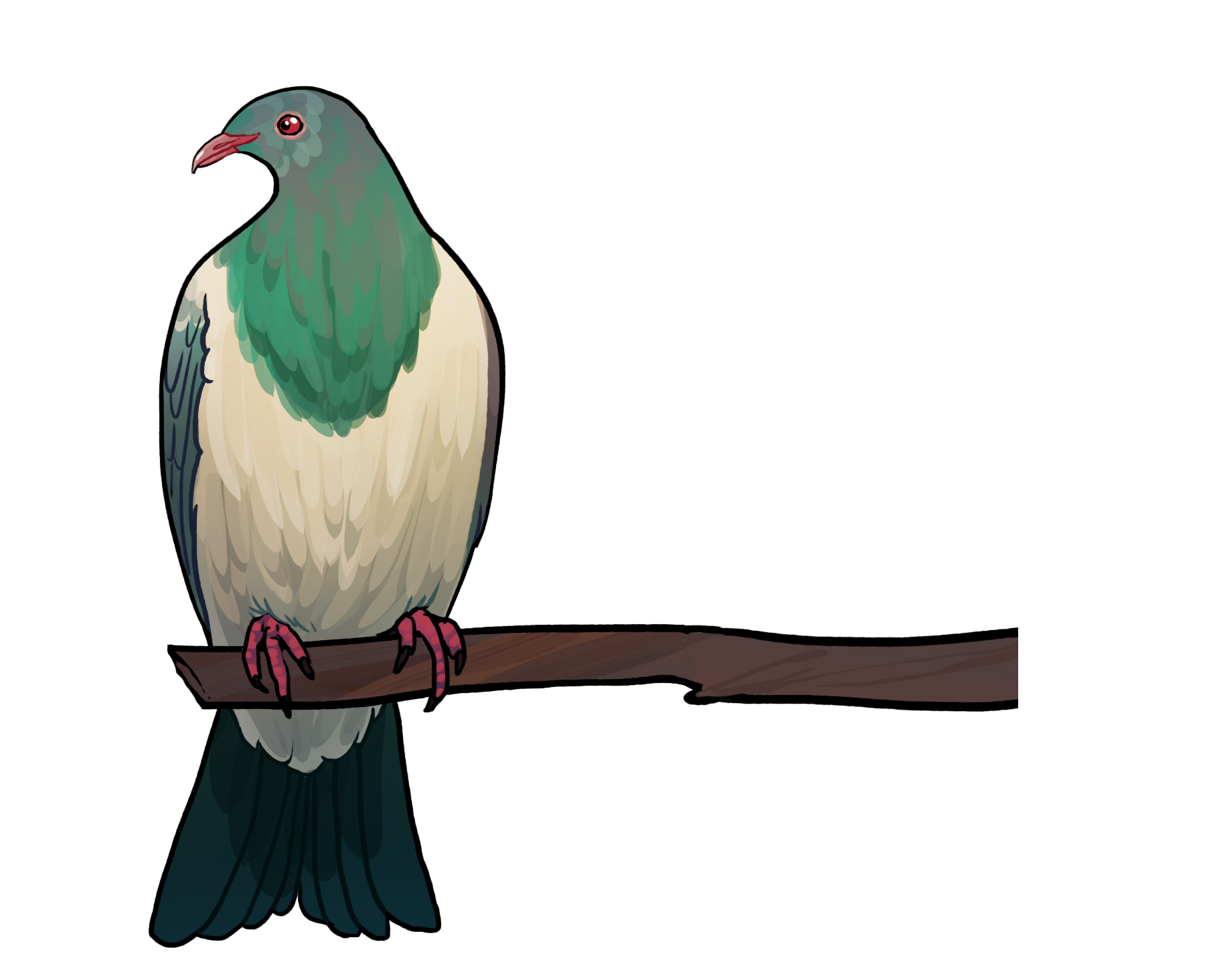 kereru single.png