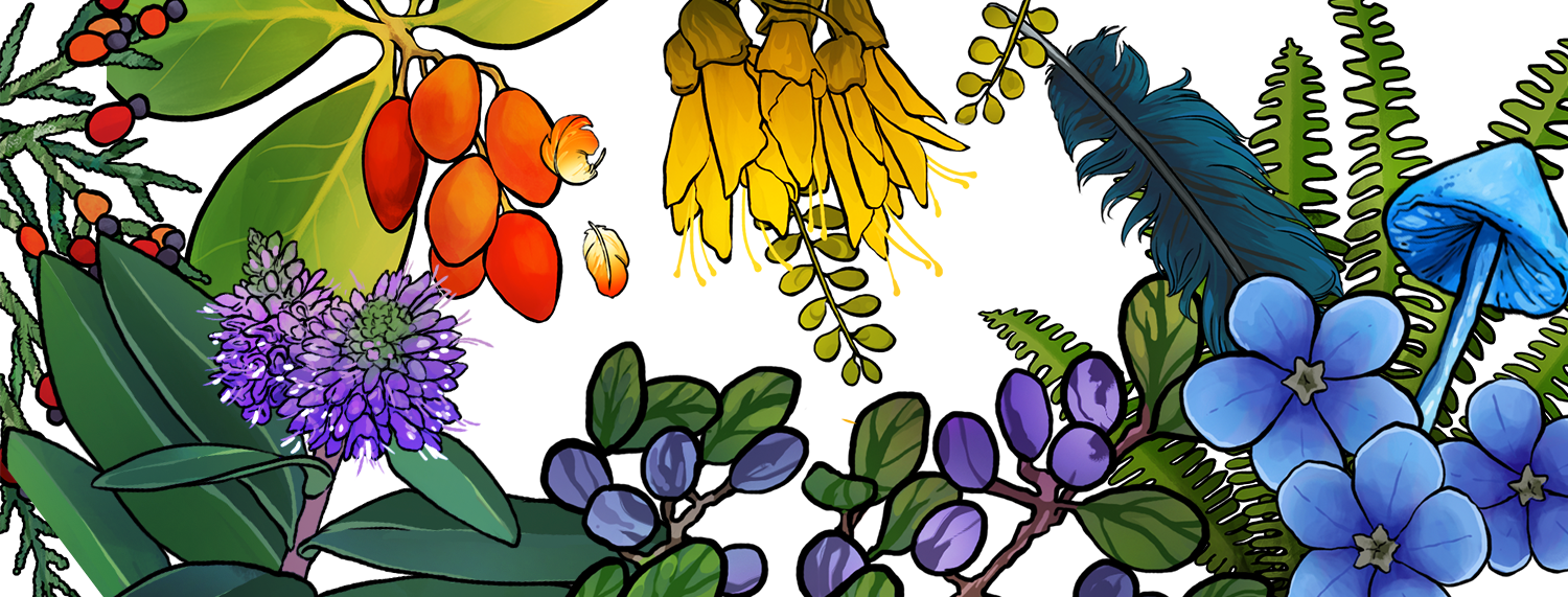 Generic Header.png