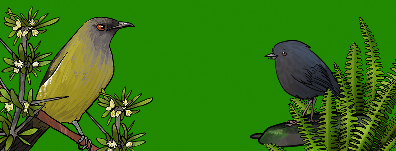 Further Reading & References Header.png