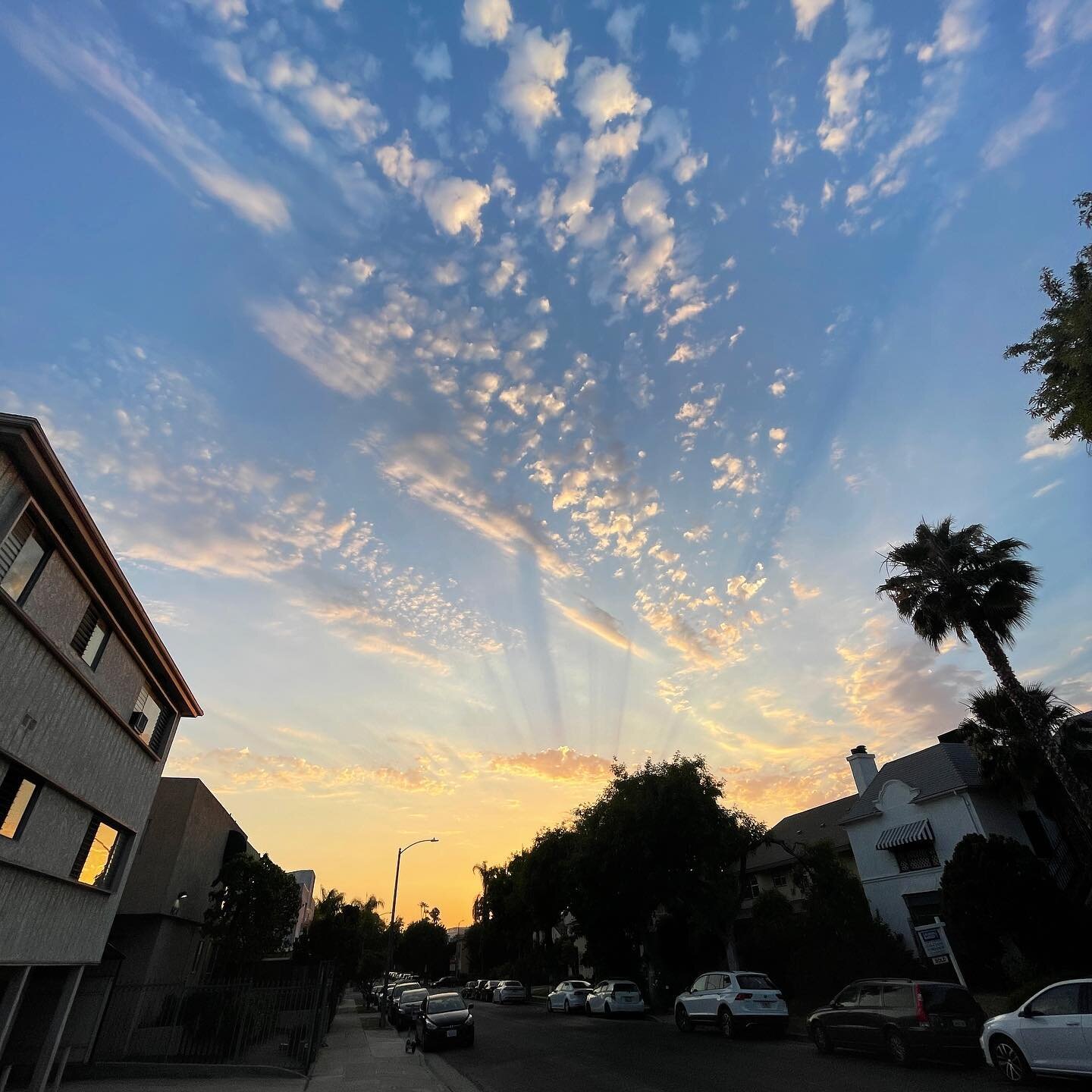 Blackburn Avenue at sunset. 

#losangeles #2021 #june17 #summer #sunset #neighborhood #neighborhoodwalk