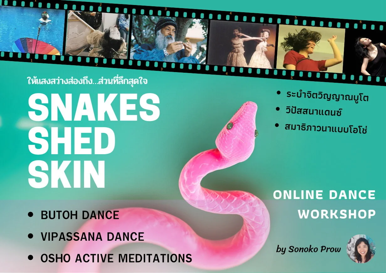 เต้นไปตามจังหวะจักรวาล กับ ครูโซโนโกะ พราว