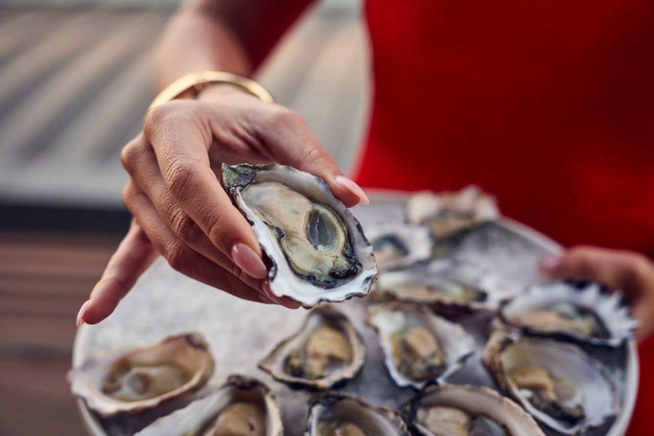 Oysters served on a plate