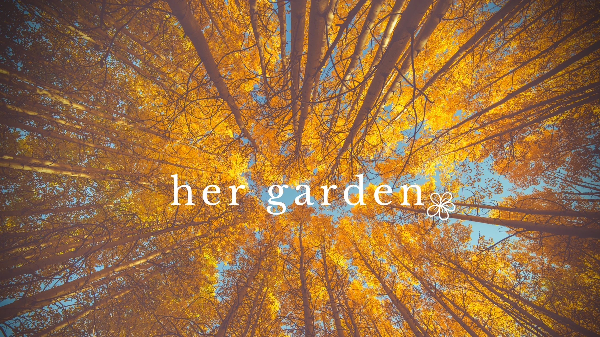 Millennial Spotlight: Introducing Porsha Brister, Owner of Her Garden