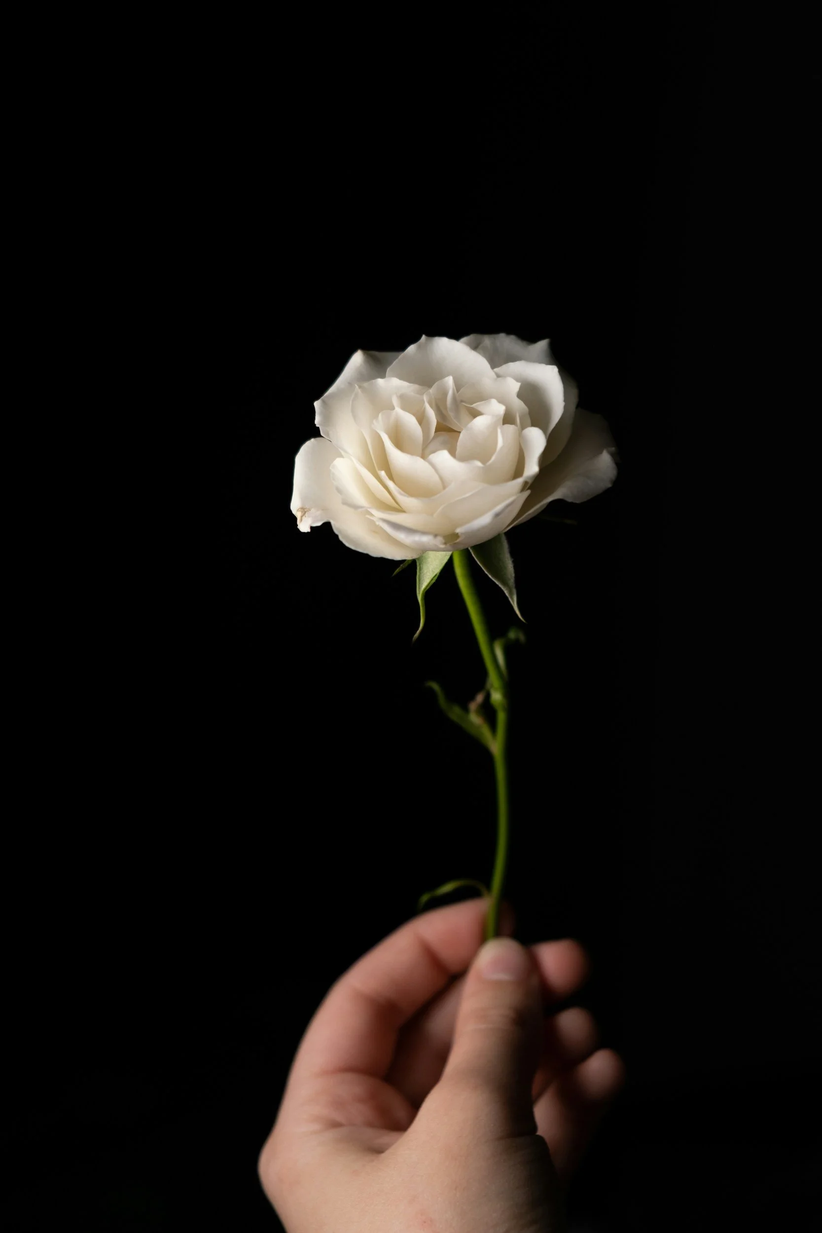 To Selena, With Love Review