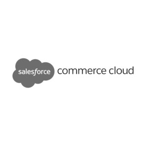 salesforce commerce cloud.jpg