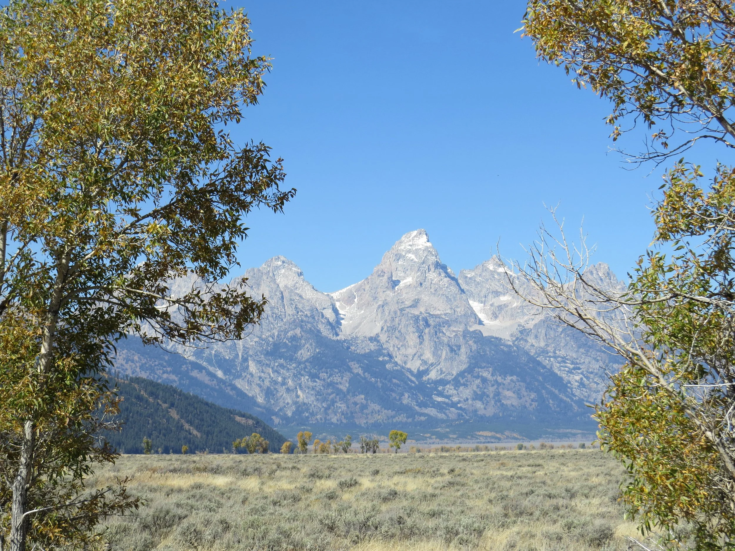 Ward_Blake_Architects_Kelly_School_Renovation_Exterior_Teton_Mountain_Range_Framed_with_Trees.jpg