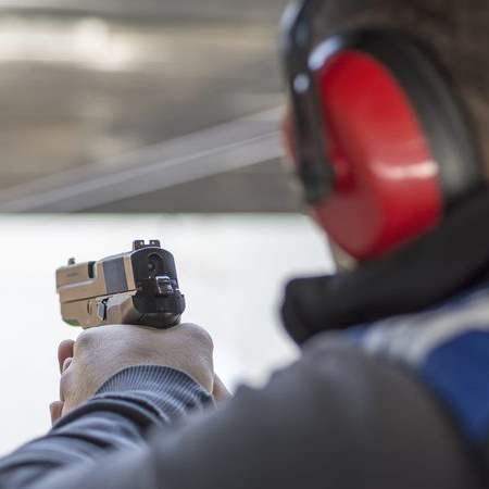 Firearms licence application granted in one day - OIA