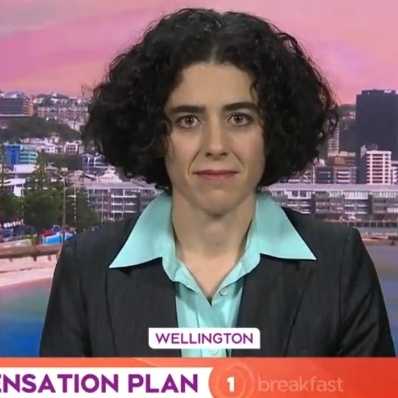 There is no need for people to have high-powered weapons, Gun Control NZ says