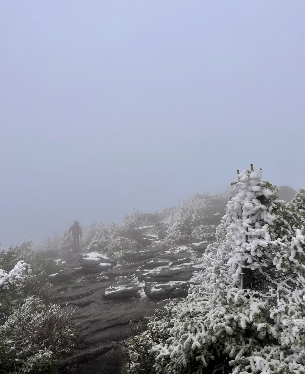 October on Whiteface by Erin Merenich