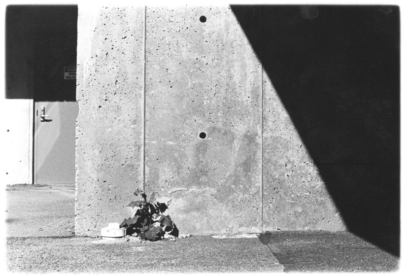 Screenshot 2026-04-17 at 4.57.48 PM.png