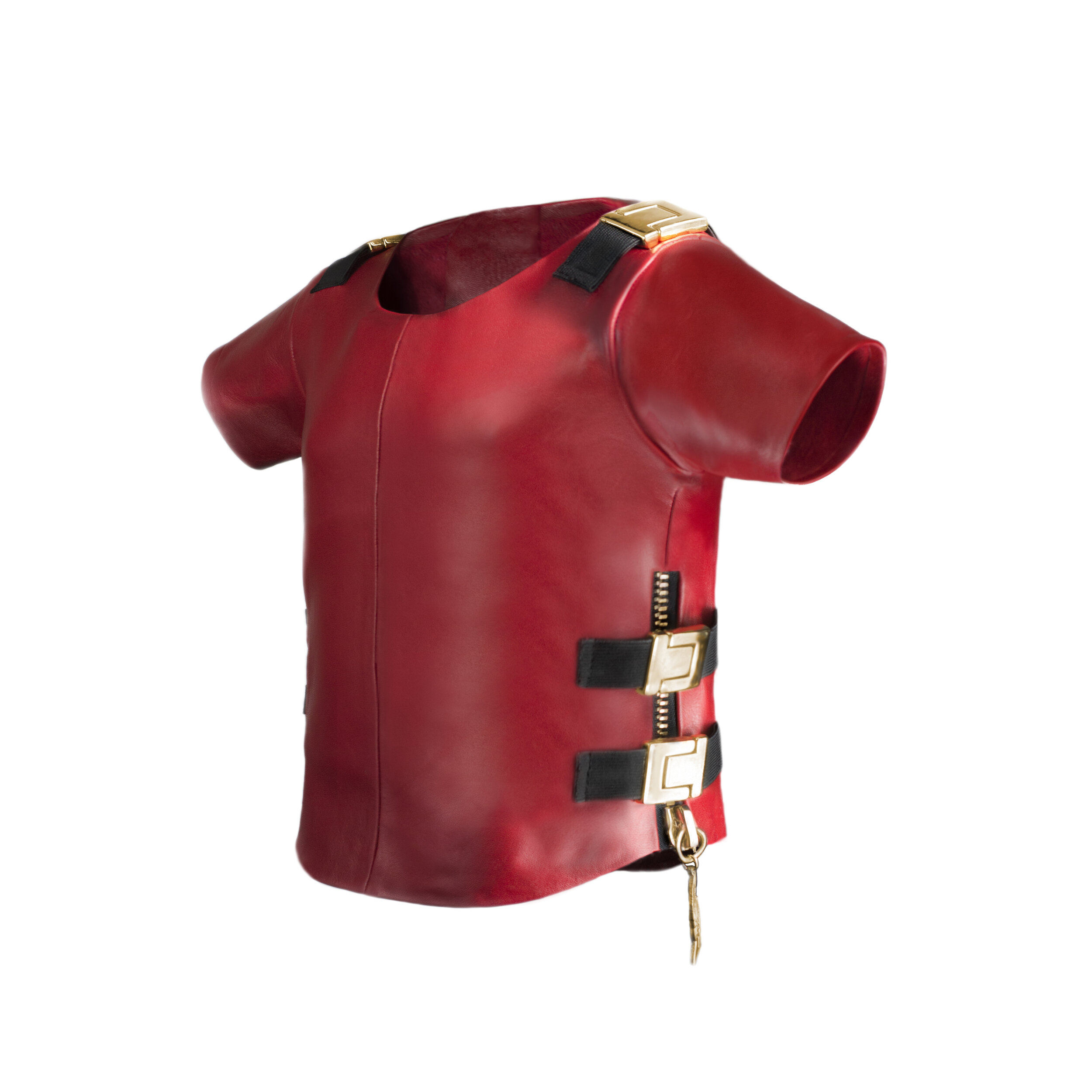 Red tshirt strapped baby 2.jpg