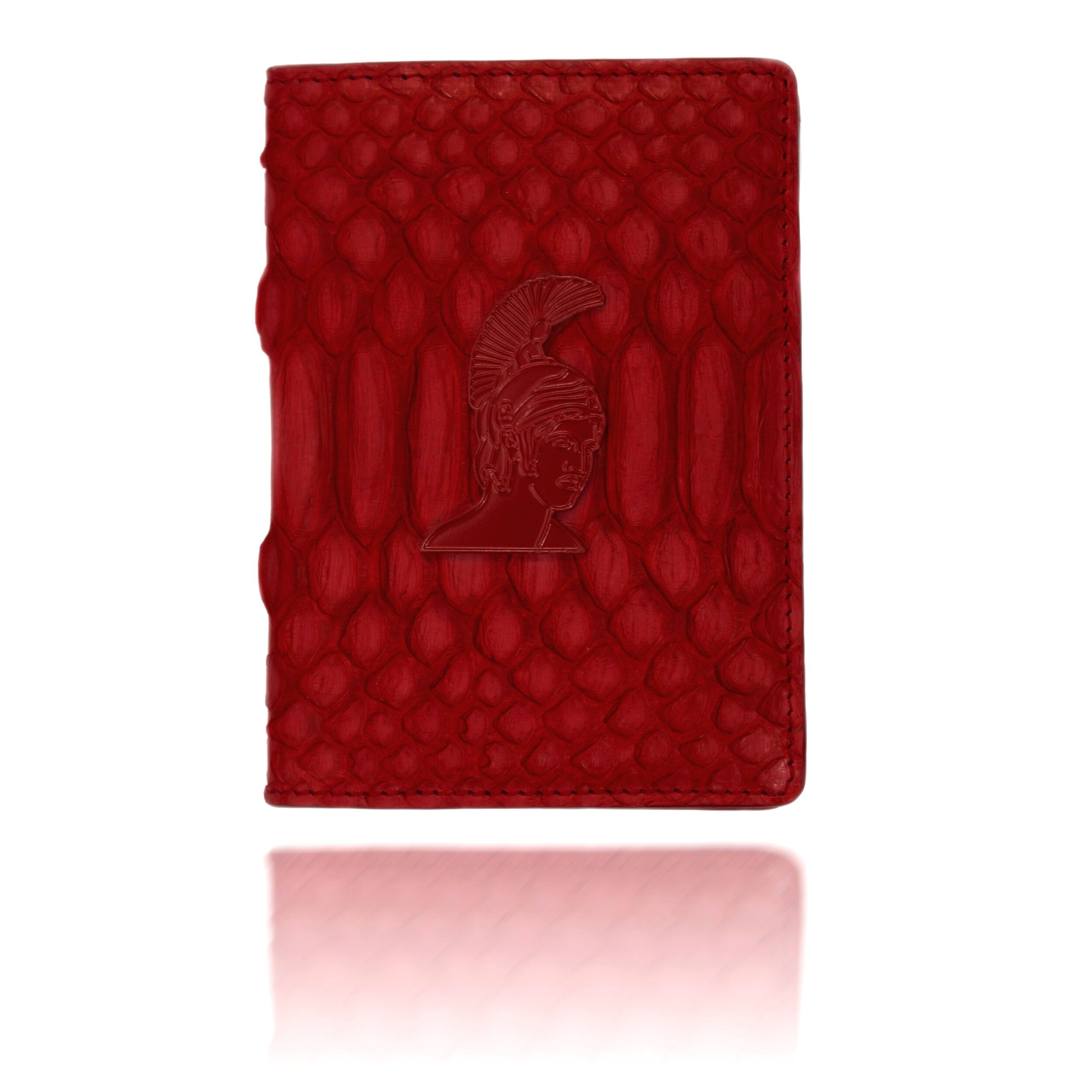 All Red Pasport Holder special Plain Edition.jpg