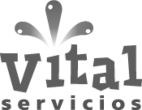 Vital Servicios