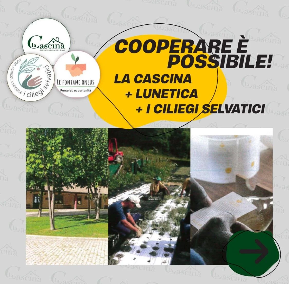 COOPERARE E' POSSIBILE - CESTI NATALIZI