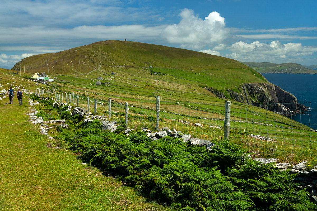 Walking trail on Dursey island