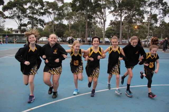 Welcome to our new sponsors!