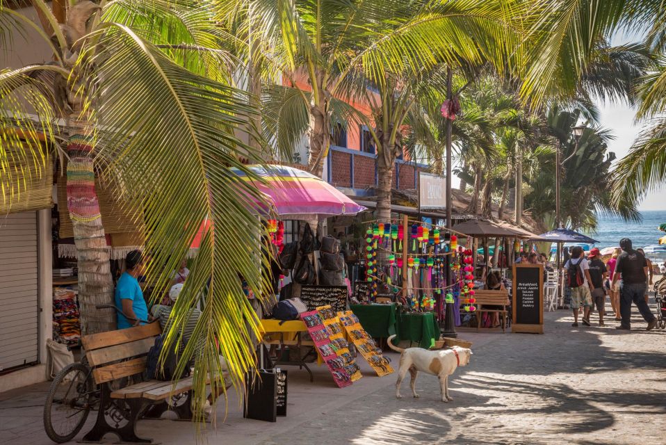 sayulita village 2.jpg