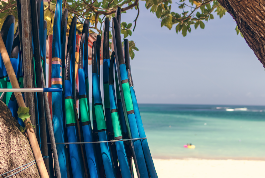 Surfing &amp; Paddleboarding