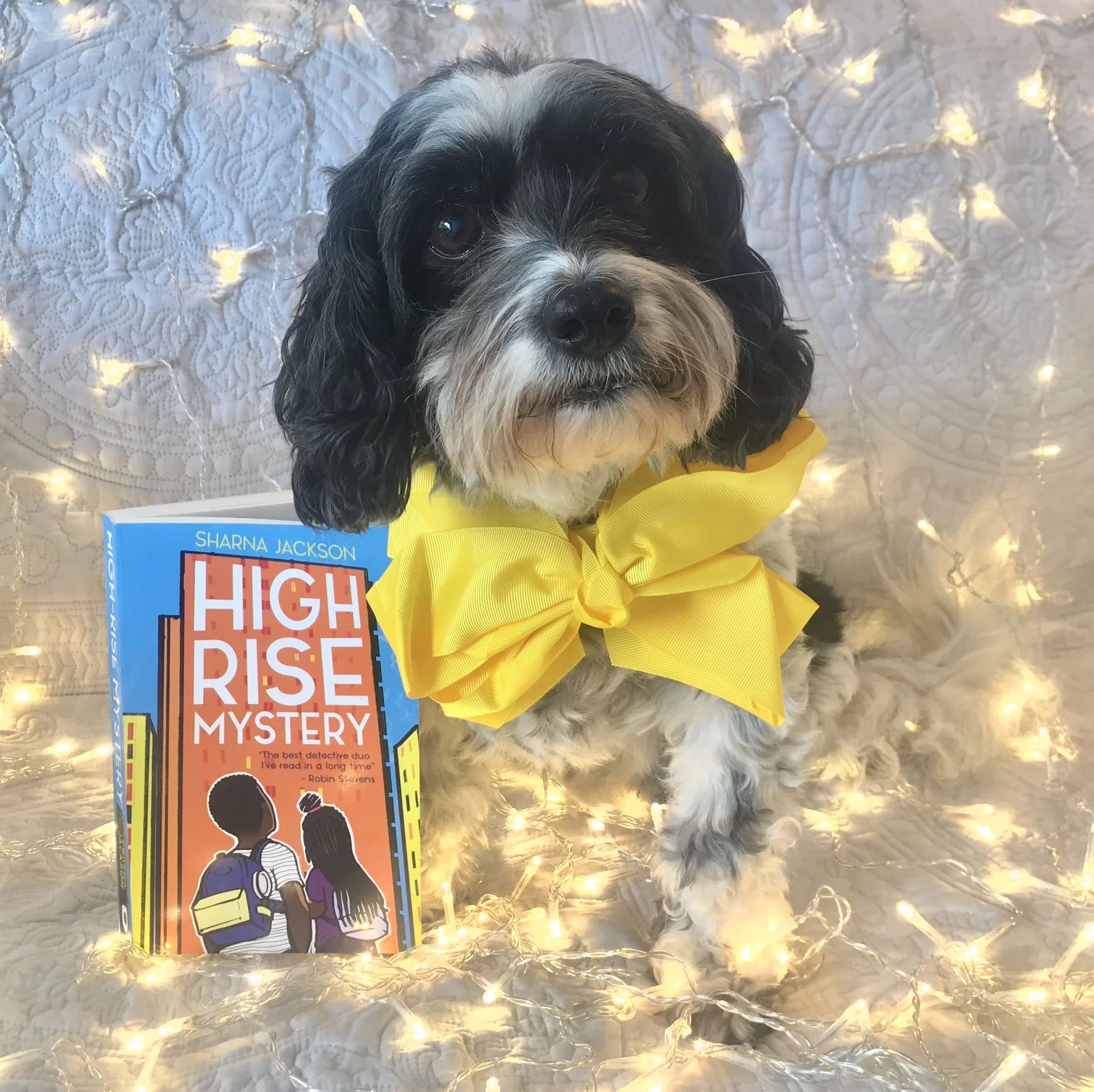 Shortlisted for the North Somerset Teacher's Book Awards