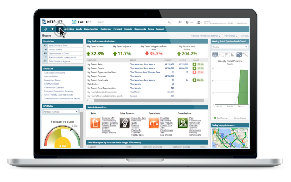 netsuite-sales-manager.png