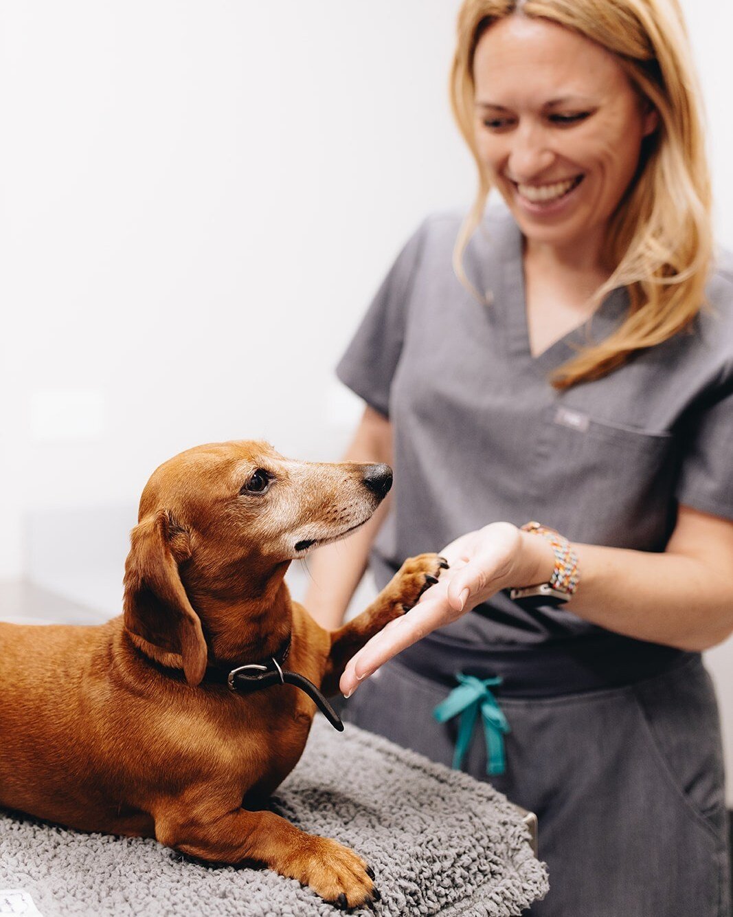 Visit GoodVets during the @prairievillageartshow from June 2-4th for a FREE nail trim* and schedule a FREE wellness exam for all attendees (to be booked at a later date) 🐕🐈 🐾

*Free nail trim is limited availability and is on a first come first se