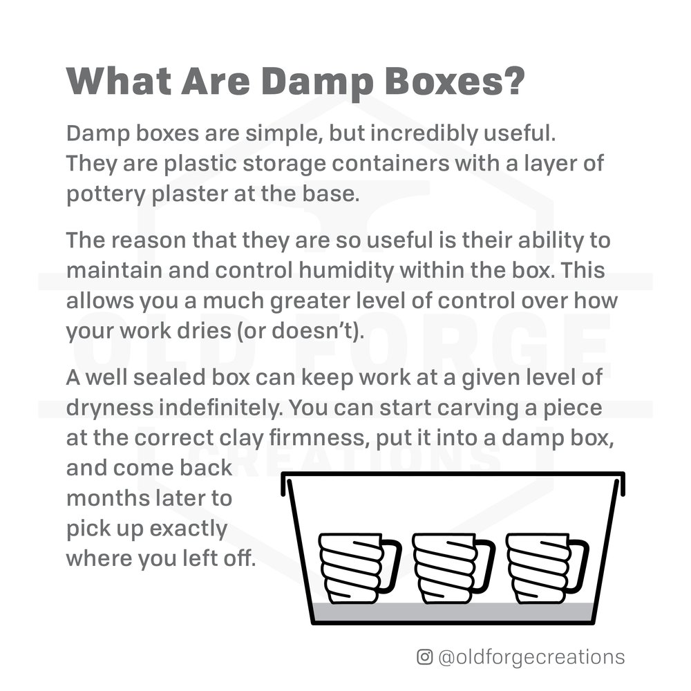 Instagram Infographic - Damp Box2.jpg