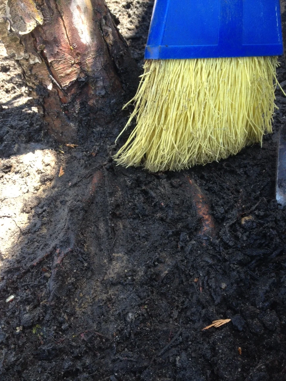 Too much mulch! — ForShore Weed Control