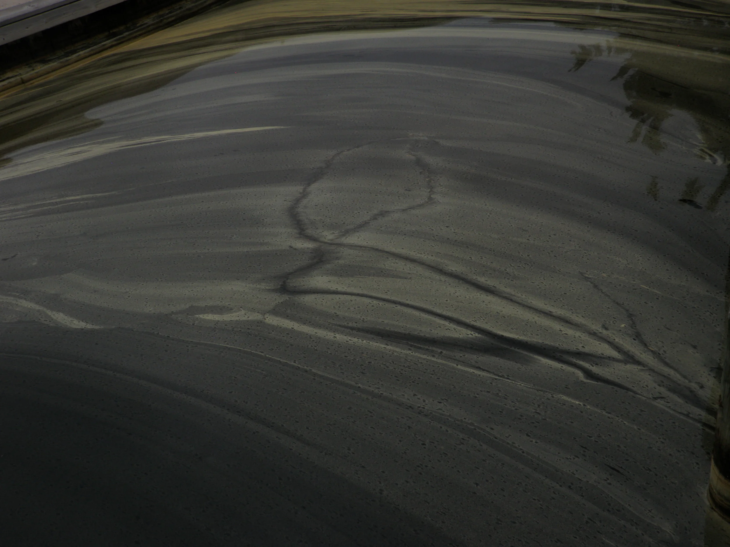 Pictures from the field — ForShore Weed Control