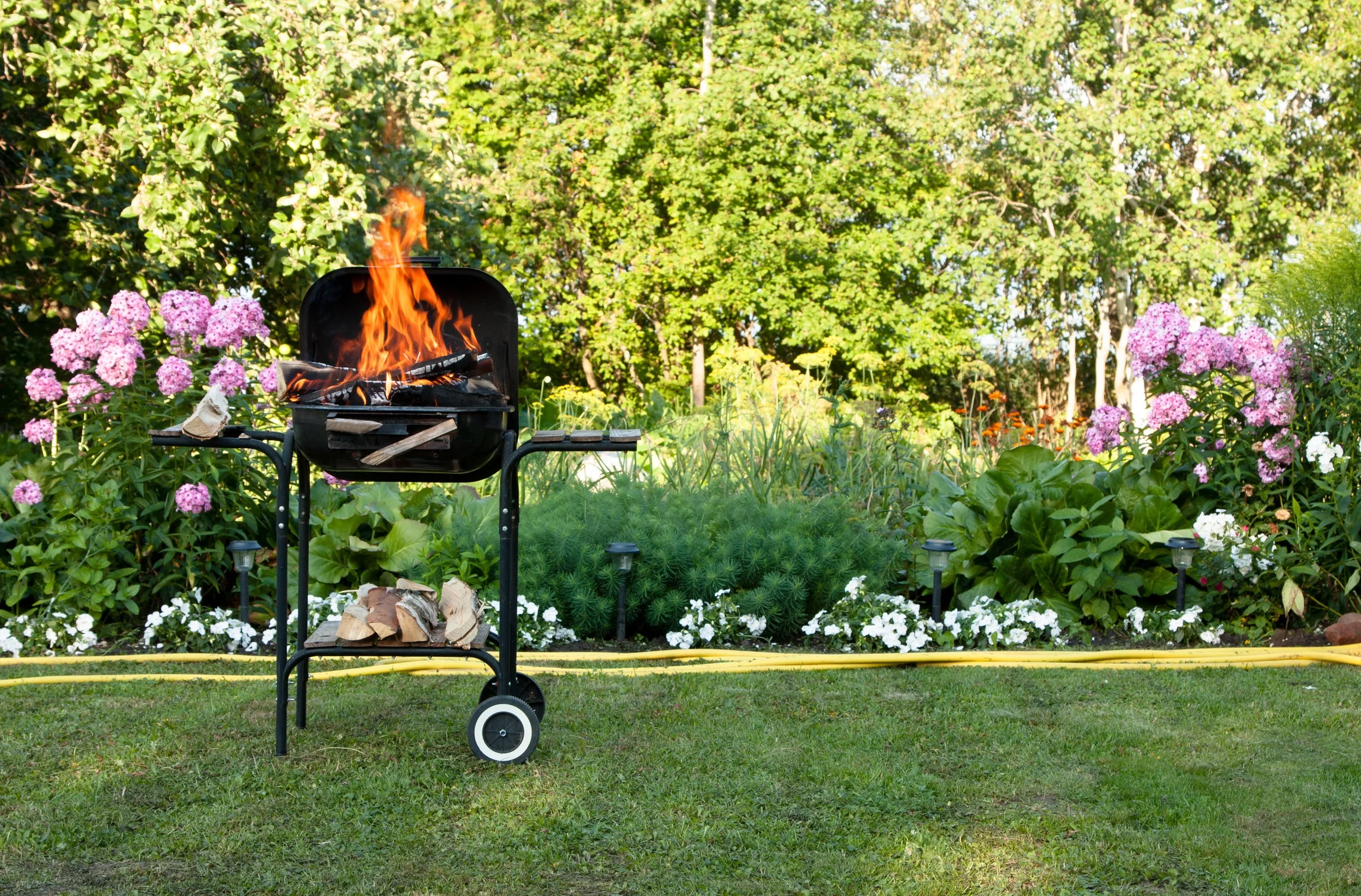 ForShore Weed Control