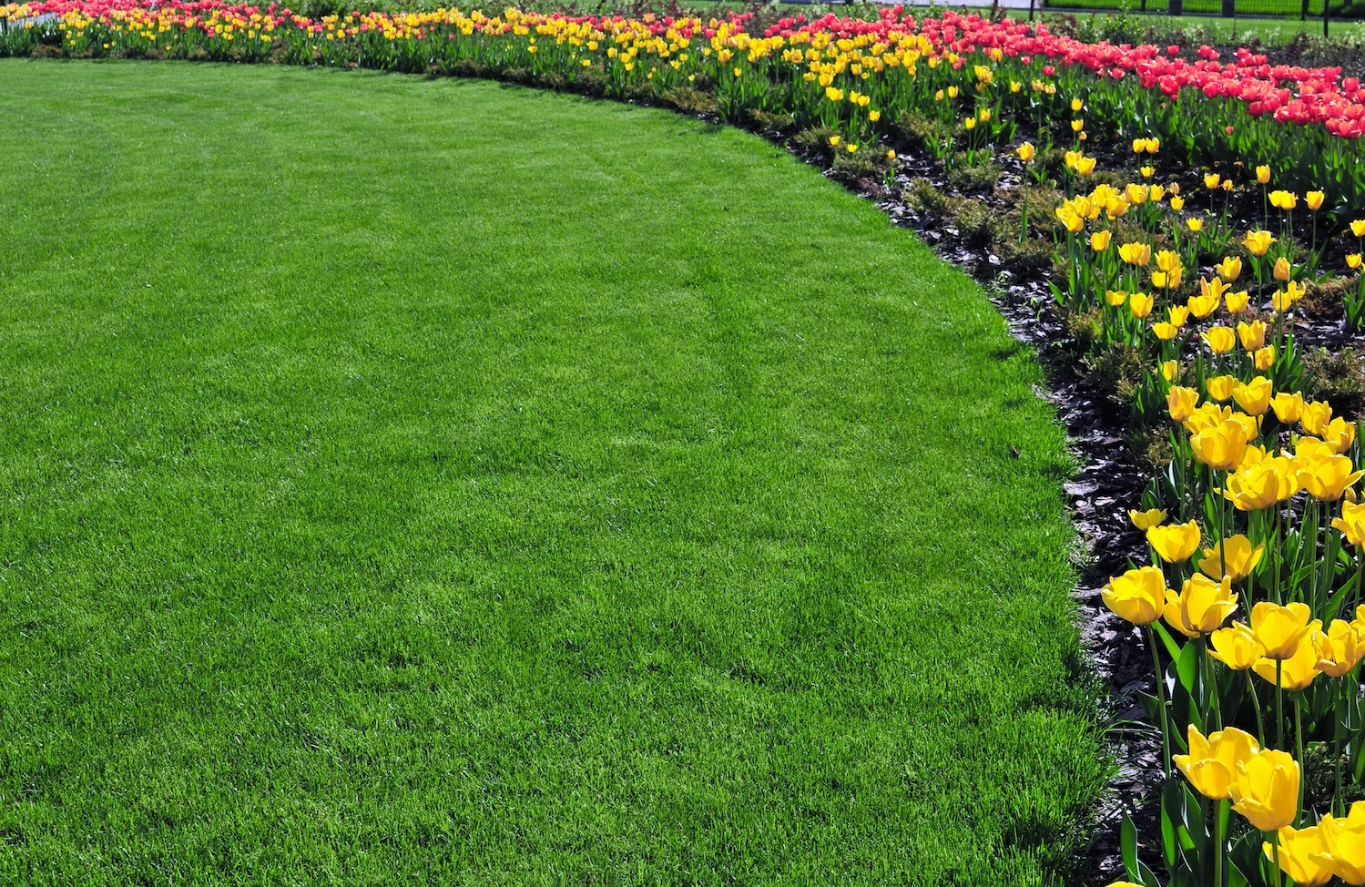 ForShore Weed Control