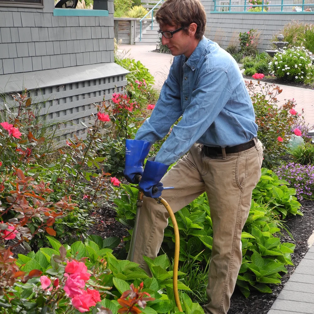 Tree & Shrub Care — ForShore Weed Control