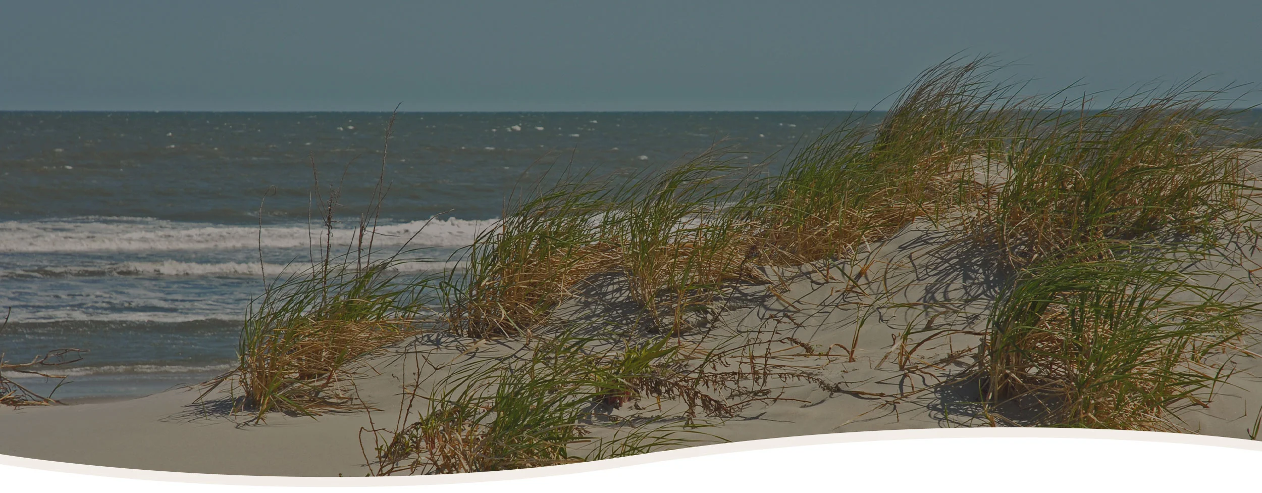 Request Estimate — ForShore Weed Control