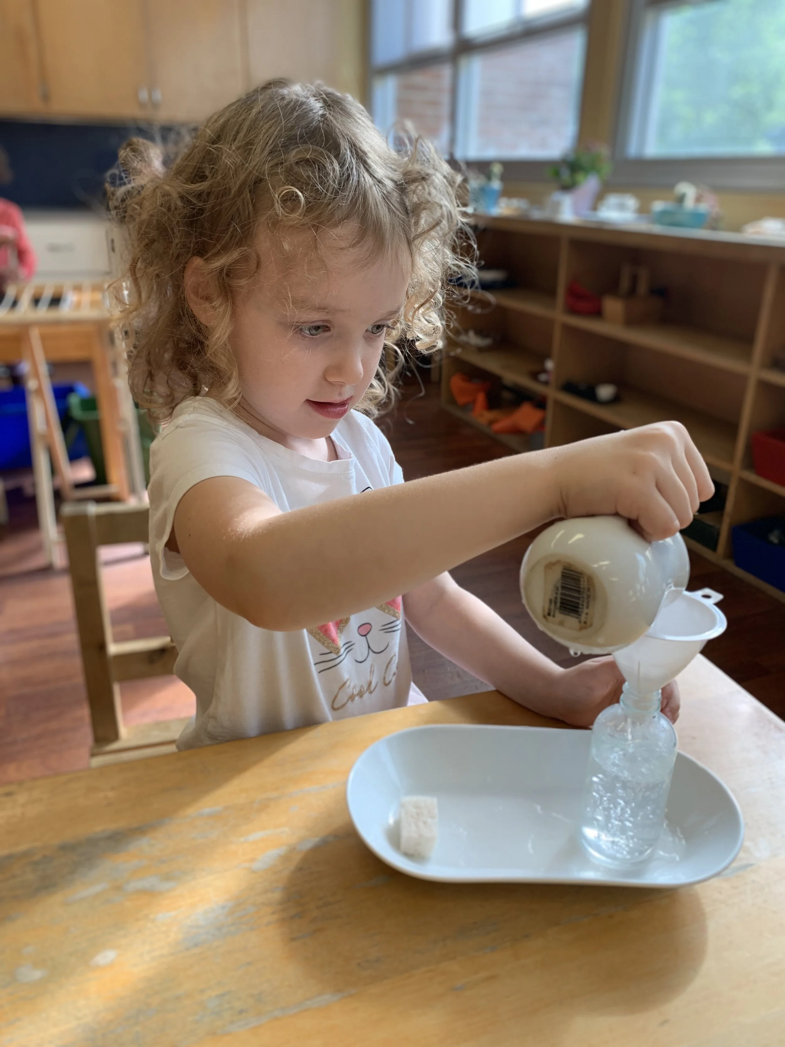 Photo 2019-09-06, 9 44 50 AM.jpg