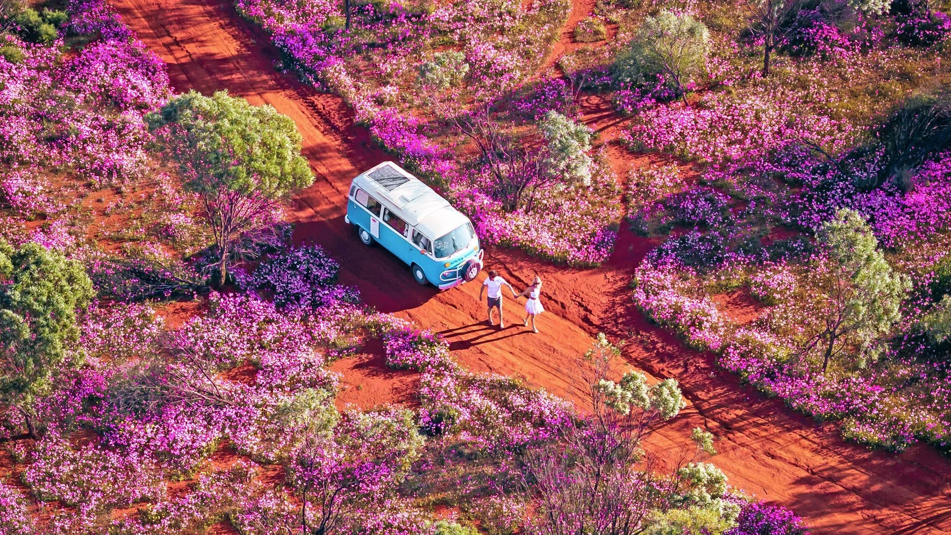 Guide to Western Australia-3.jpg