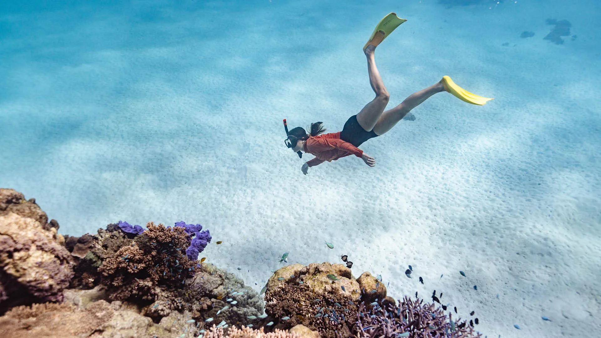 Guide to Western Australia-7.jpg