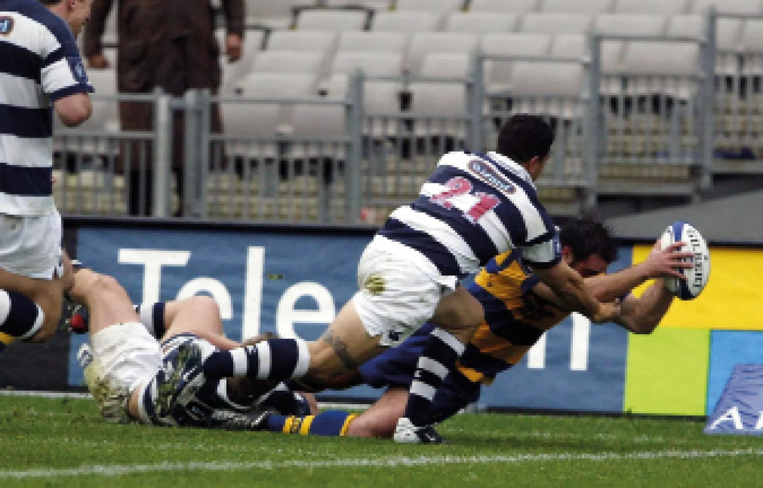 Bay of Plenty - Rugby Journal