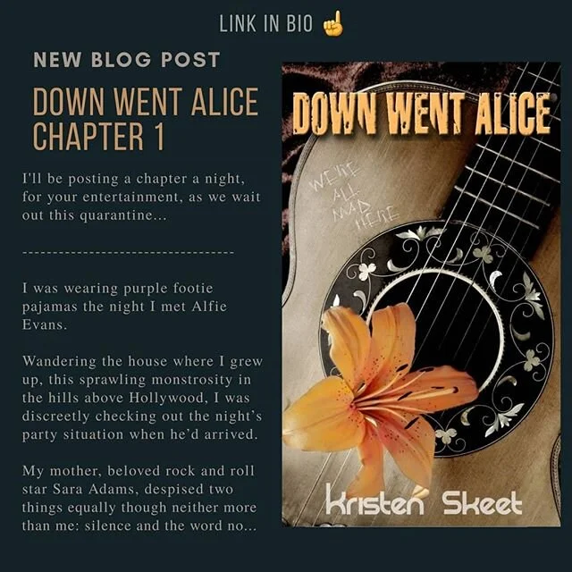I’ll be posting a chapter a night (or so) of my book, Down Went Alice. For your entertainment, as we wait out this quarantine… ~ Kristen
---------------------------------
Down Went Alice - Chapter 1
I was wearing purple footie p
