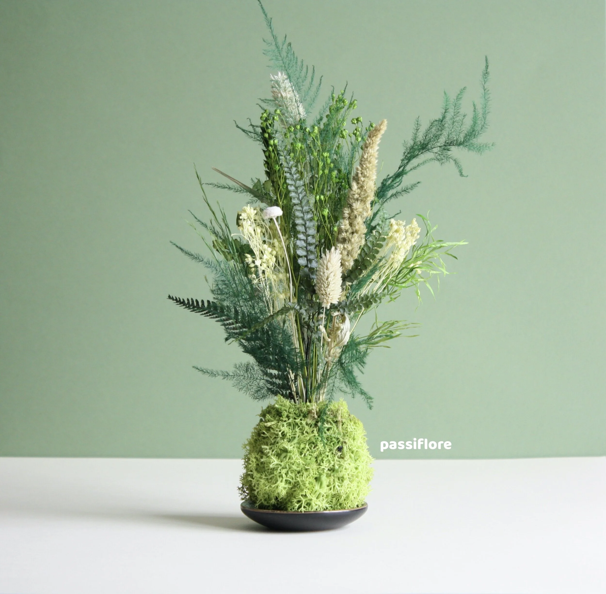 Kokedama Fougère