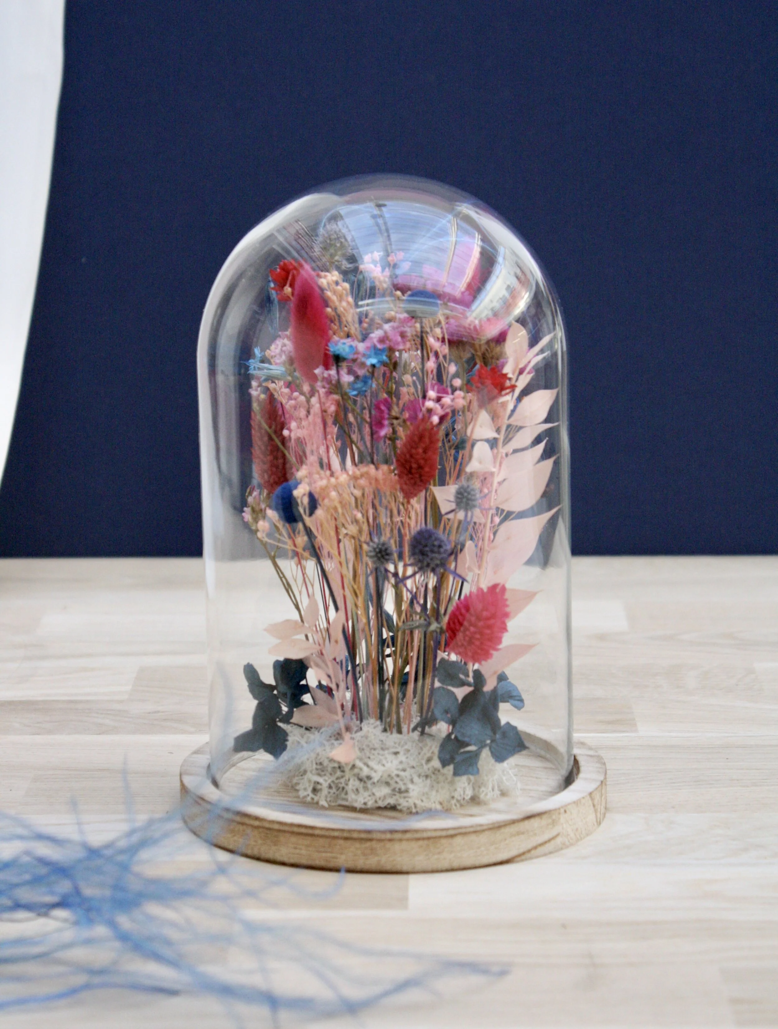 Cloche florale Cosmos