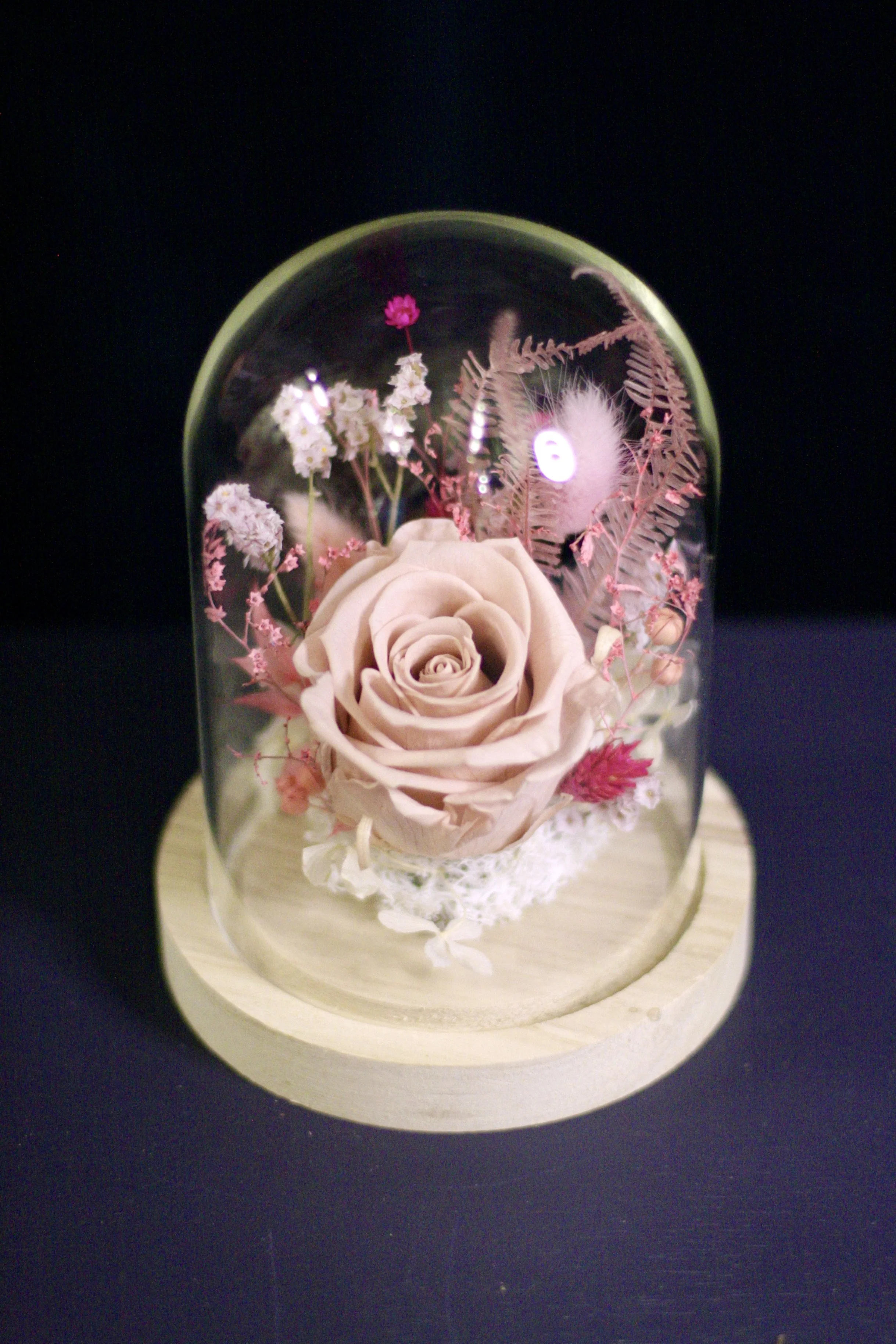 Rose éternelle sous cloche